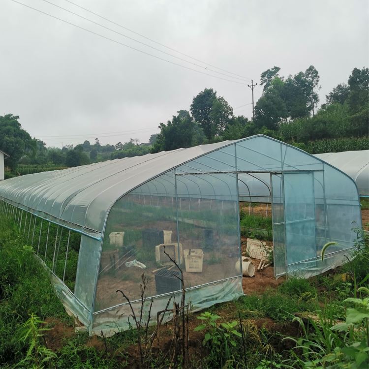 How should the multi-span greenhouse be dehumidified