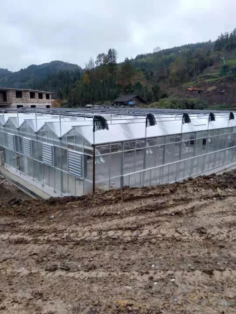 construction of greenhouses in winter construction of greenhouses in winter