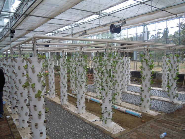 solar panel greenhouse with Hydroponic system solar panel greenhouse with Hydroponic system