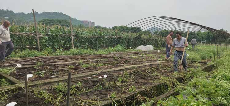 Greenhouse Greenhouse