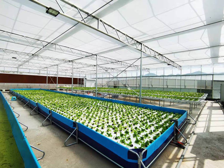 Glass Greenhouse Glass Greenhouse