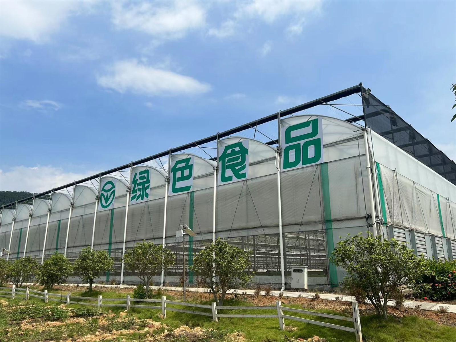 Zigzag Multi-span Greenhouse