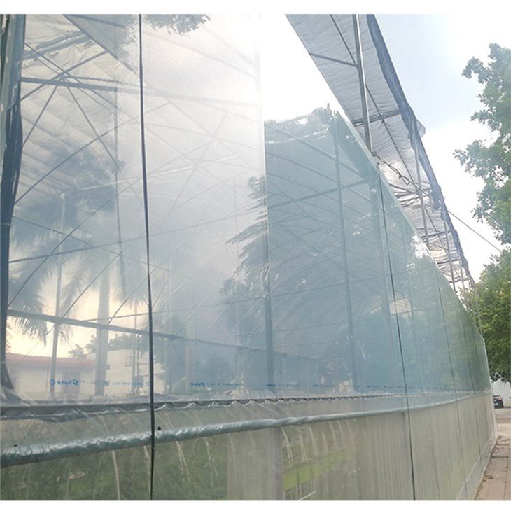 china 6 mil clear plastic sheeting for greenhouse