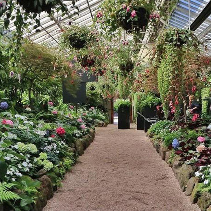 garden greenhouse stores supplier