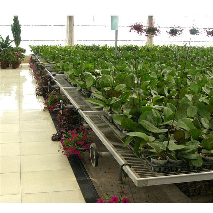 greenhouse seedbed nursery price