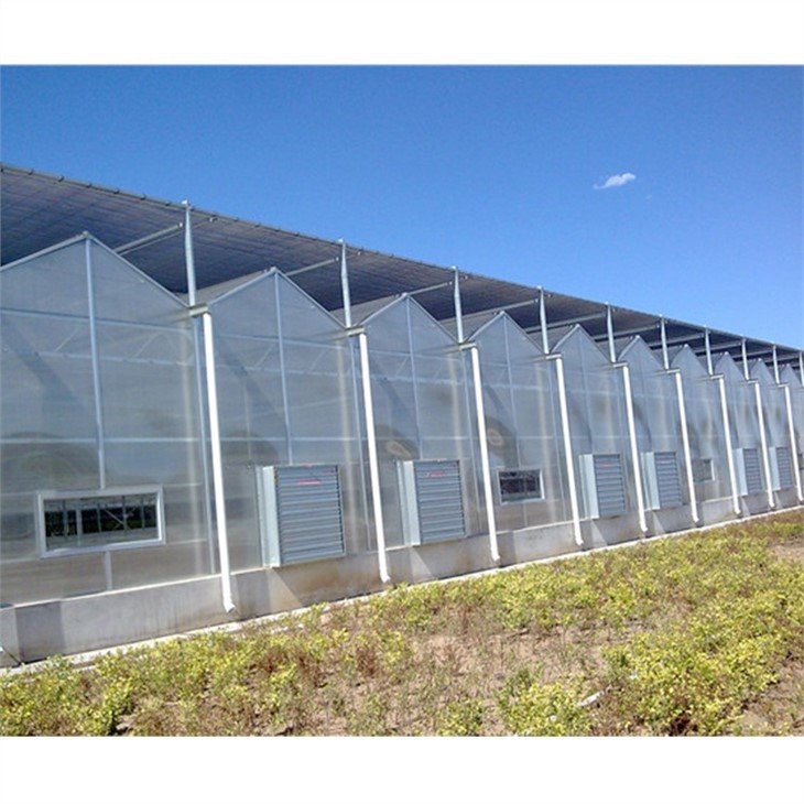 China venlo pc sheet greenhouse
