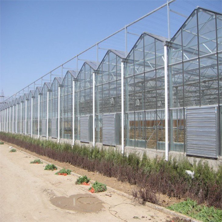 Zigzag multi-span greenhouse supplier